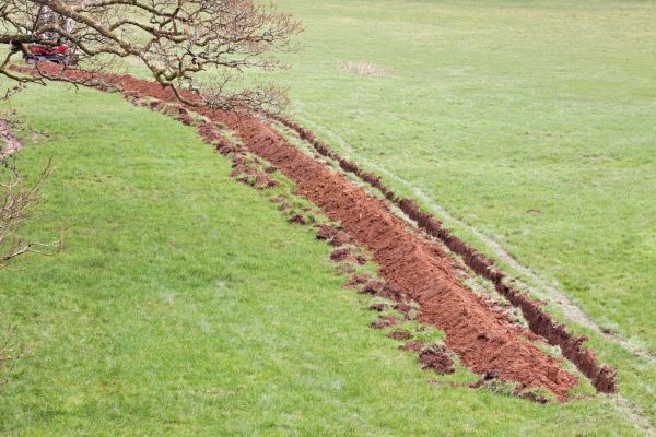 Cost of Swale Installation in Columbus