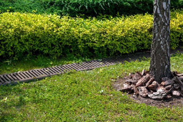 Residential Landscape Drainage in Columbus